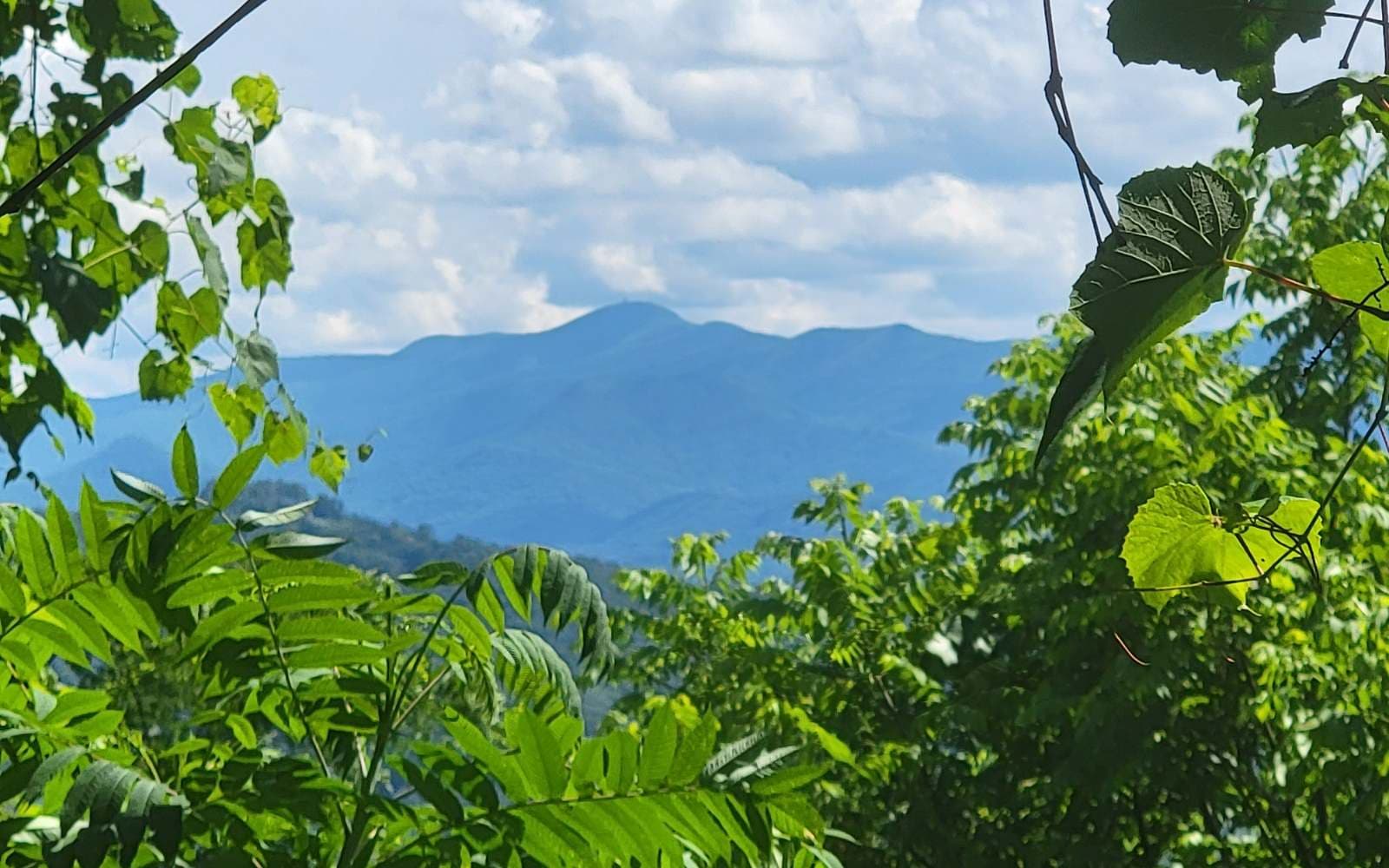5 N Ridges Overlook, Hayesville NC 28904 - Photo