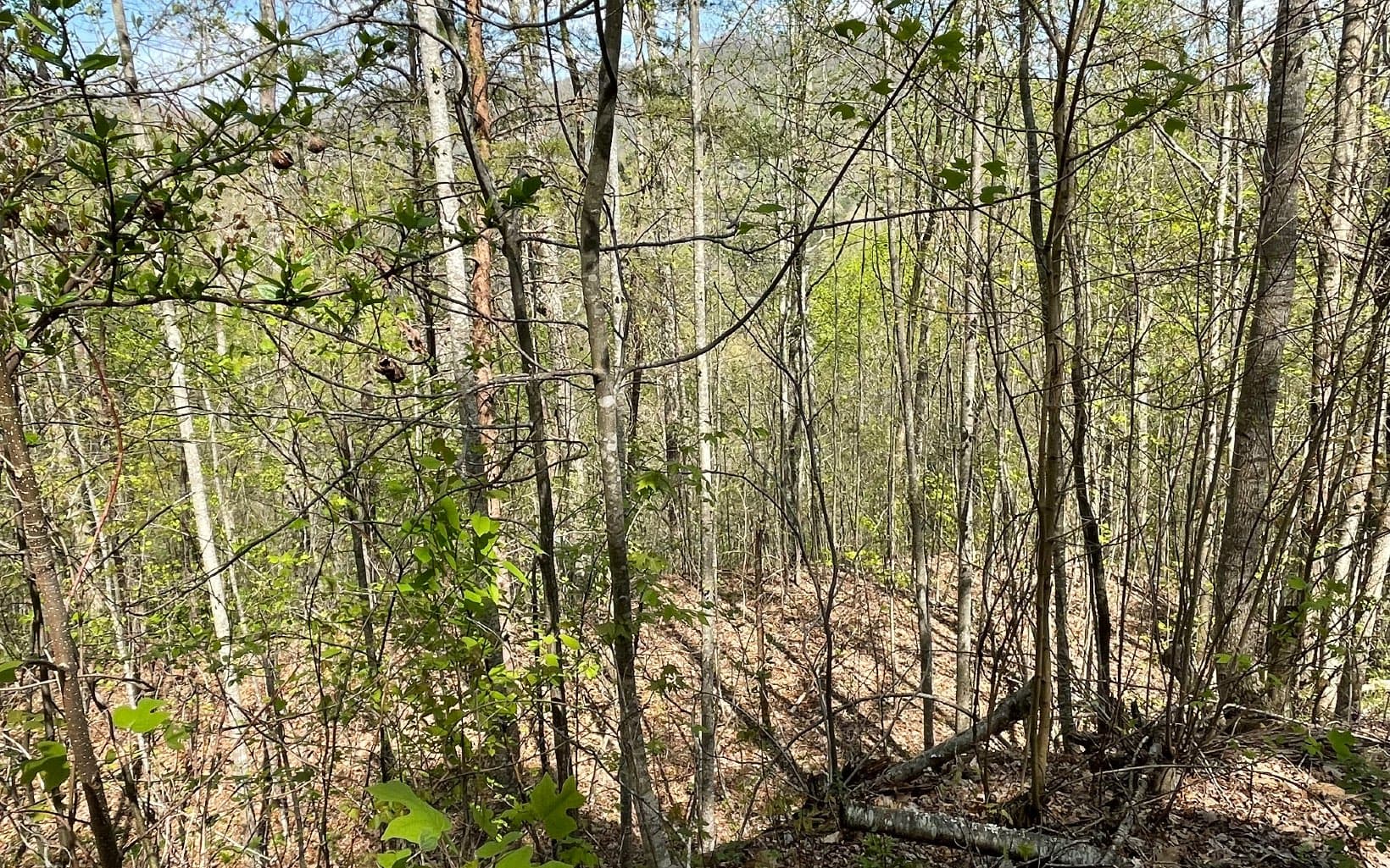 Lot 8D Eagle Heights, Hiawassee GA 30546 - Photo