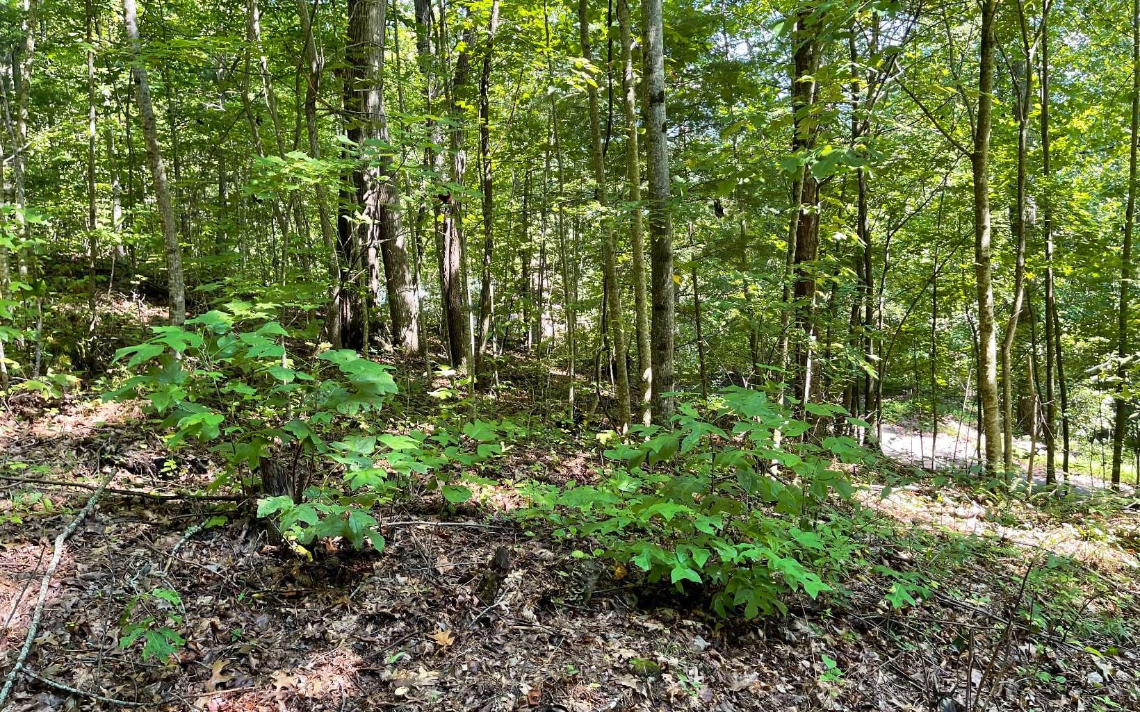 Lot 8D Eagle Heights, Hiawassee GA 30546 - Photo