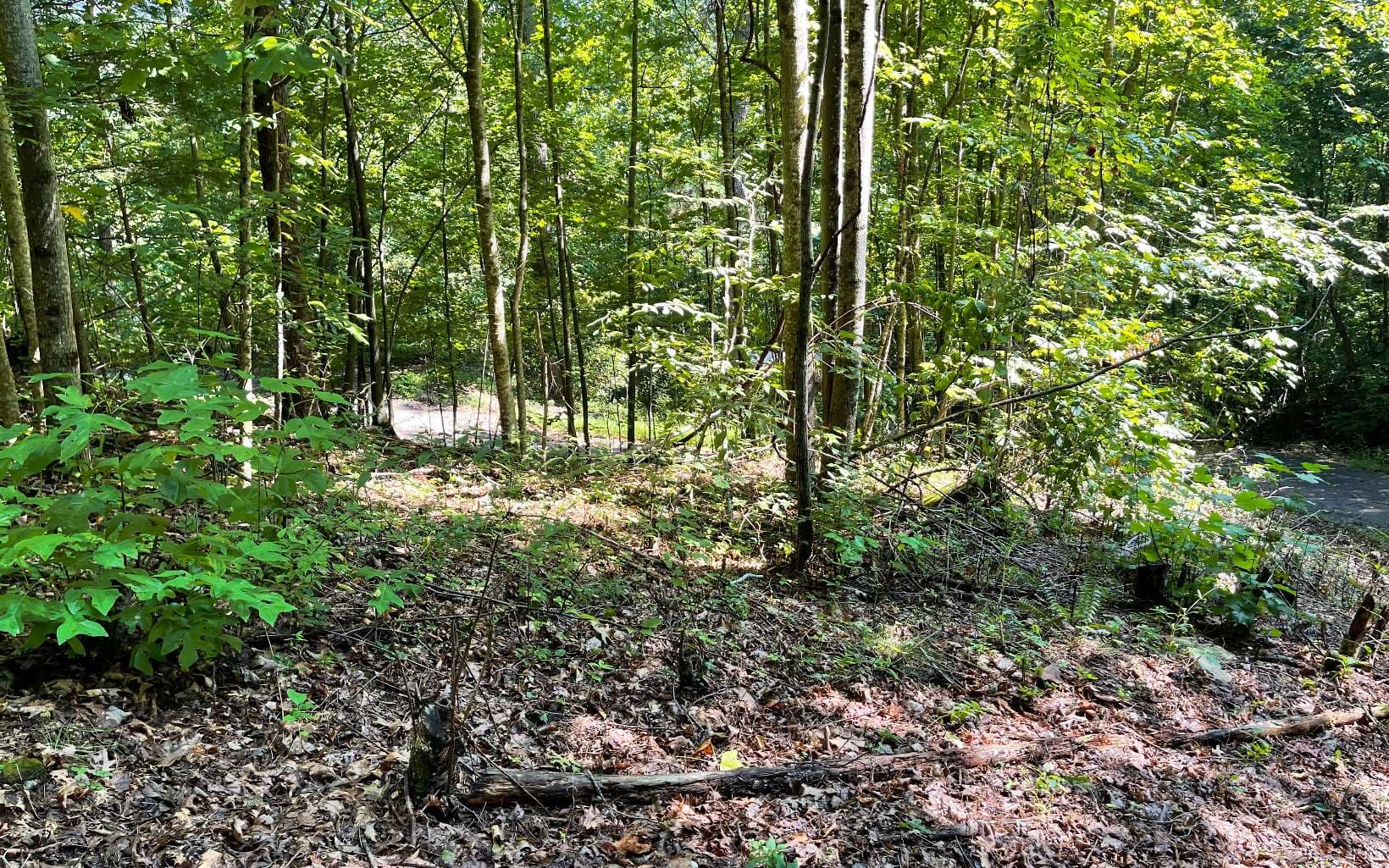 Lot 8D Eagle Heights, Hiawassee GA 30546 - Photo