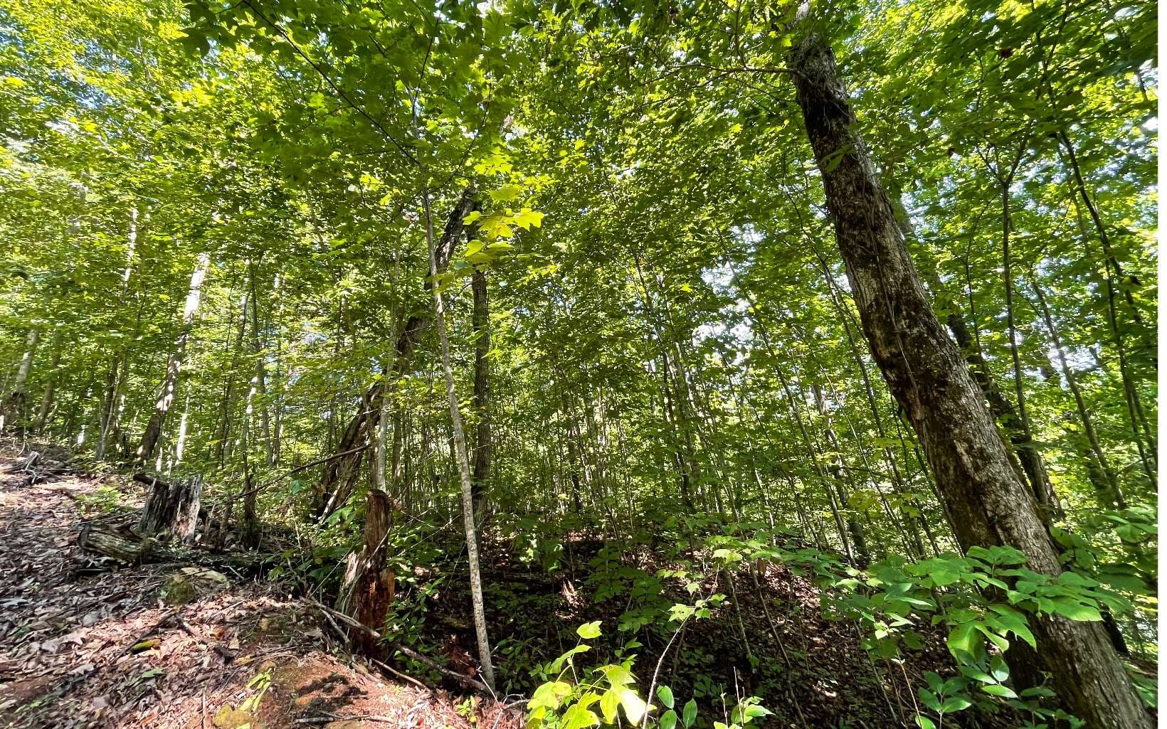 Lot 8D Eagle Heights, Hiawassee GA 30546 - Photo
