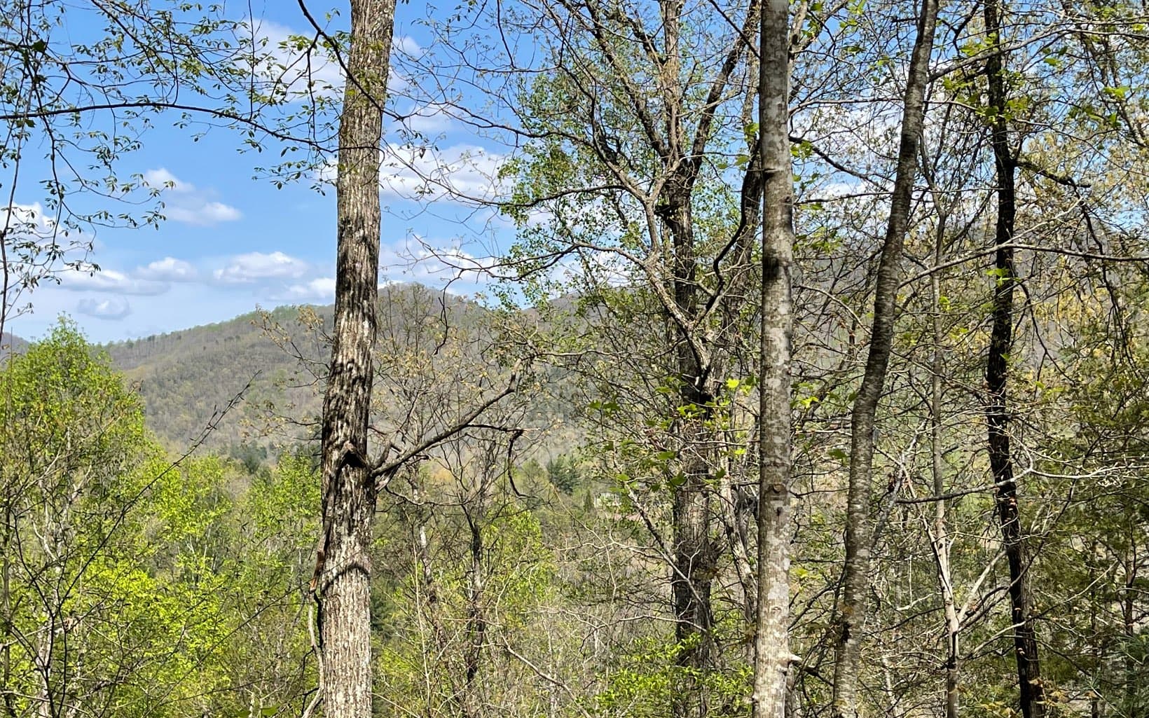 Lot 8D Eagle Heights, Hiawassee GA 30546 - Photo