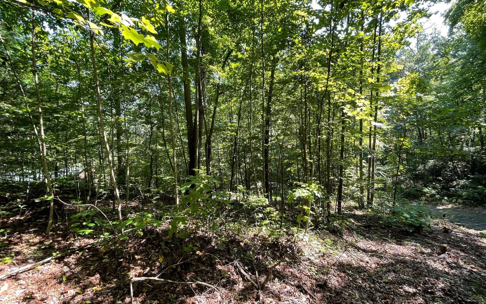 Lot 8D Eagle Heights, Hiawassee GA 30546 - Photo