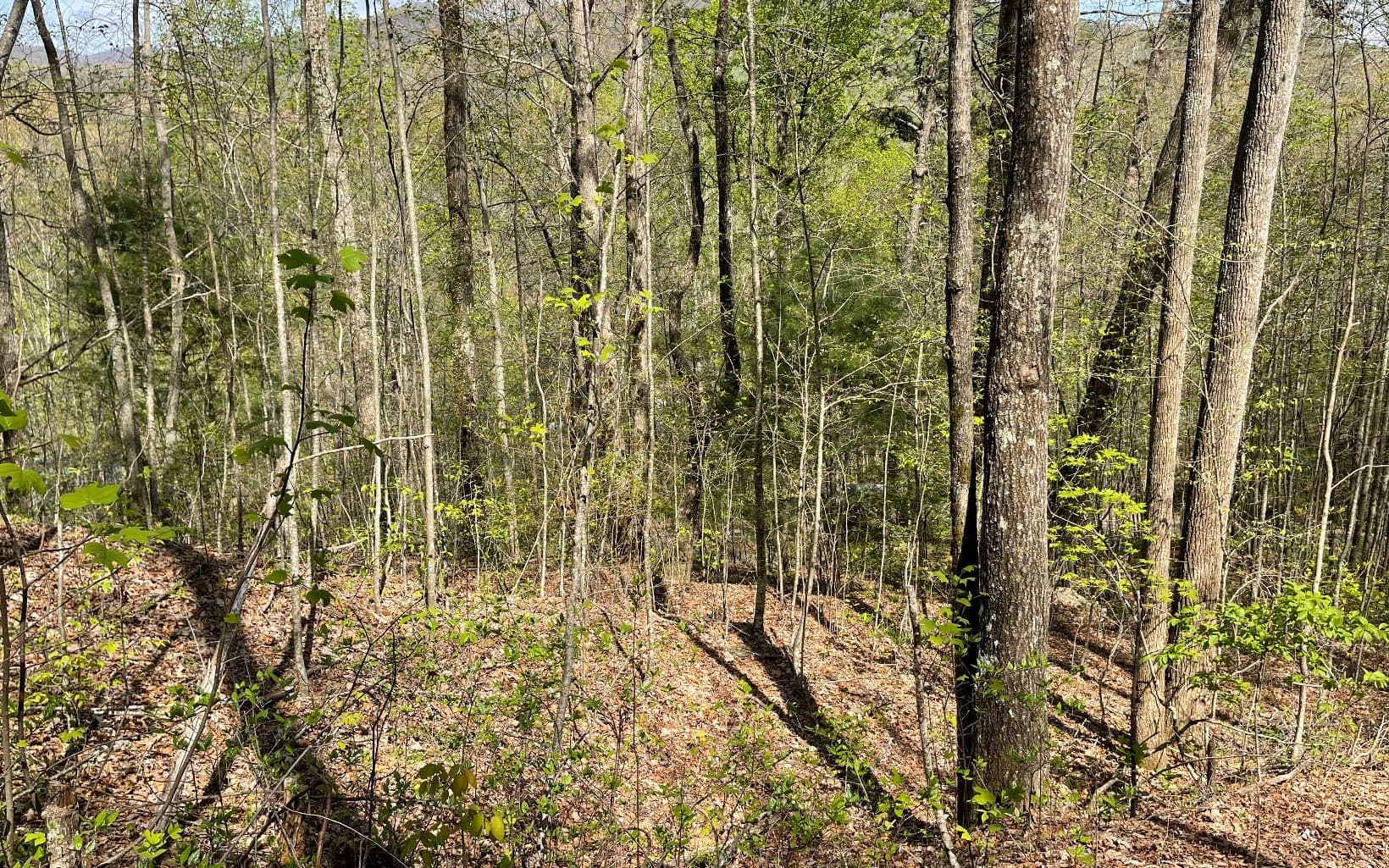 Lot 8D Eagle Heights, Hiawassee GA 30546 - Photo