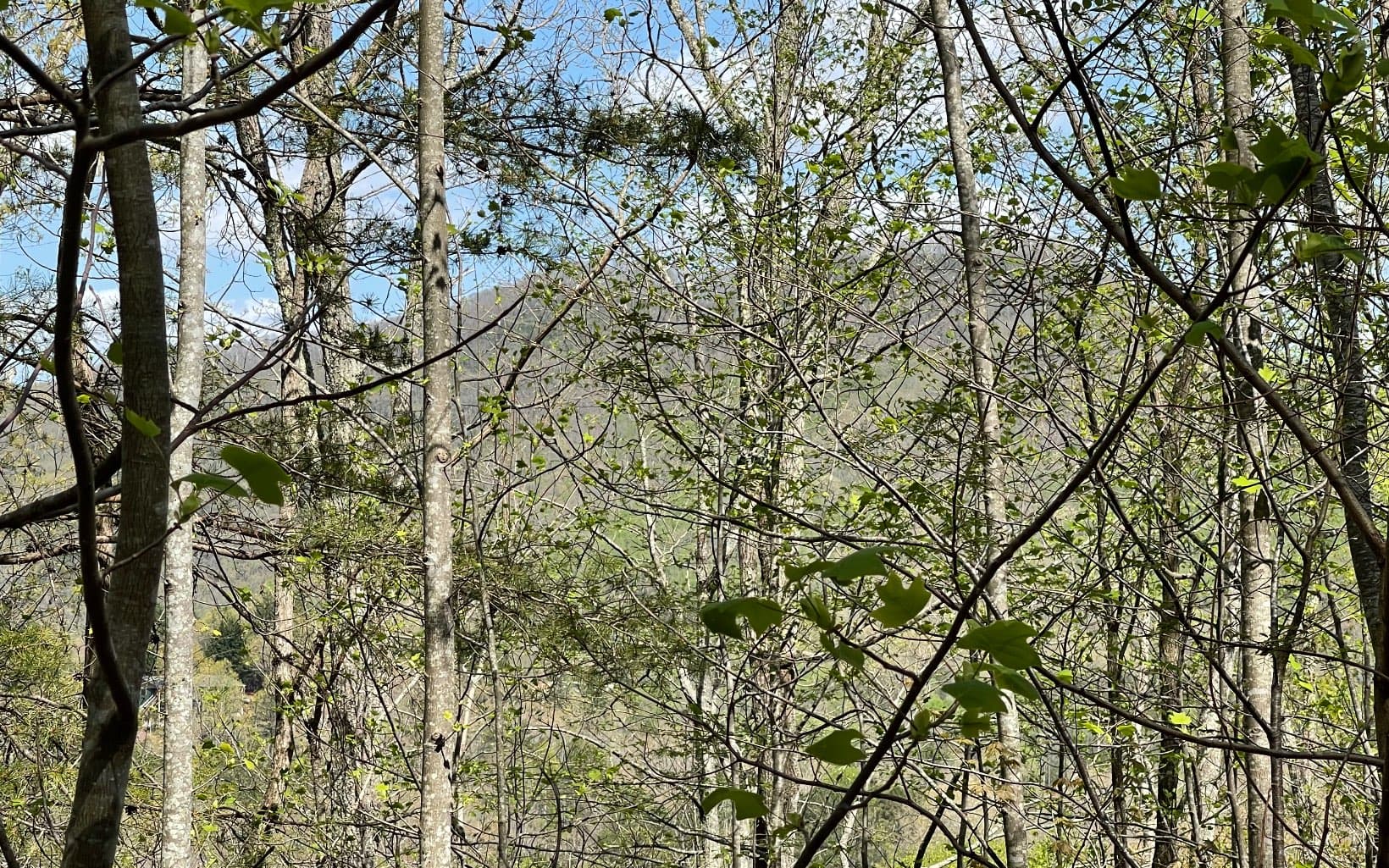 Lot 8D Eagle Heights, Hiawassee GA 30546 - Photo