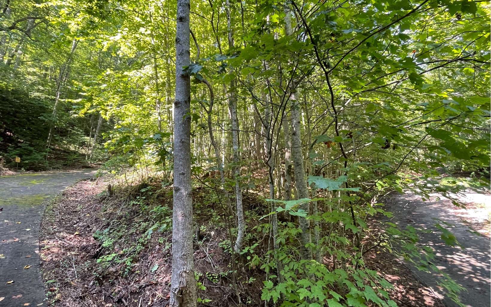 Lot 8D Eagle Heights, Hiawassee GA 30546 - Photo