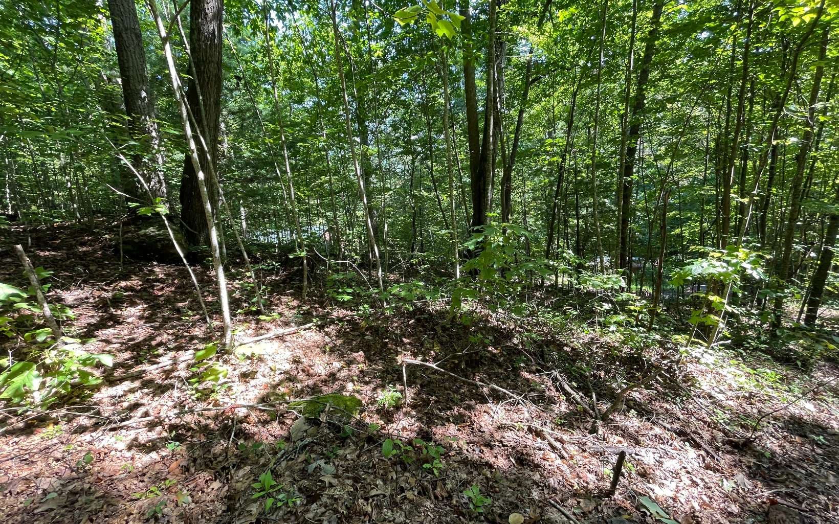 Lot 8D Eagle Heights, Hiawassee GA 30546 - Primary photo