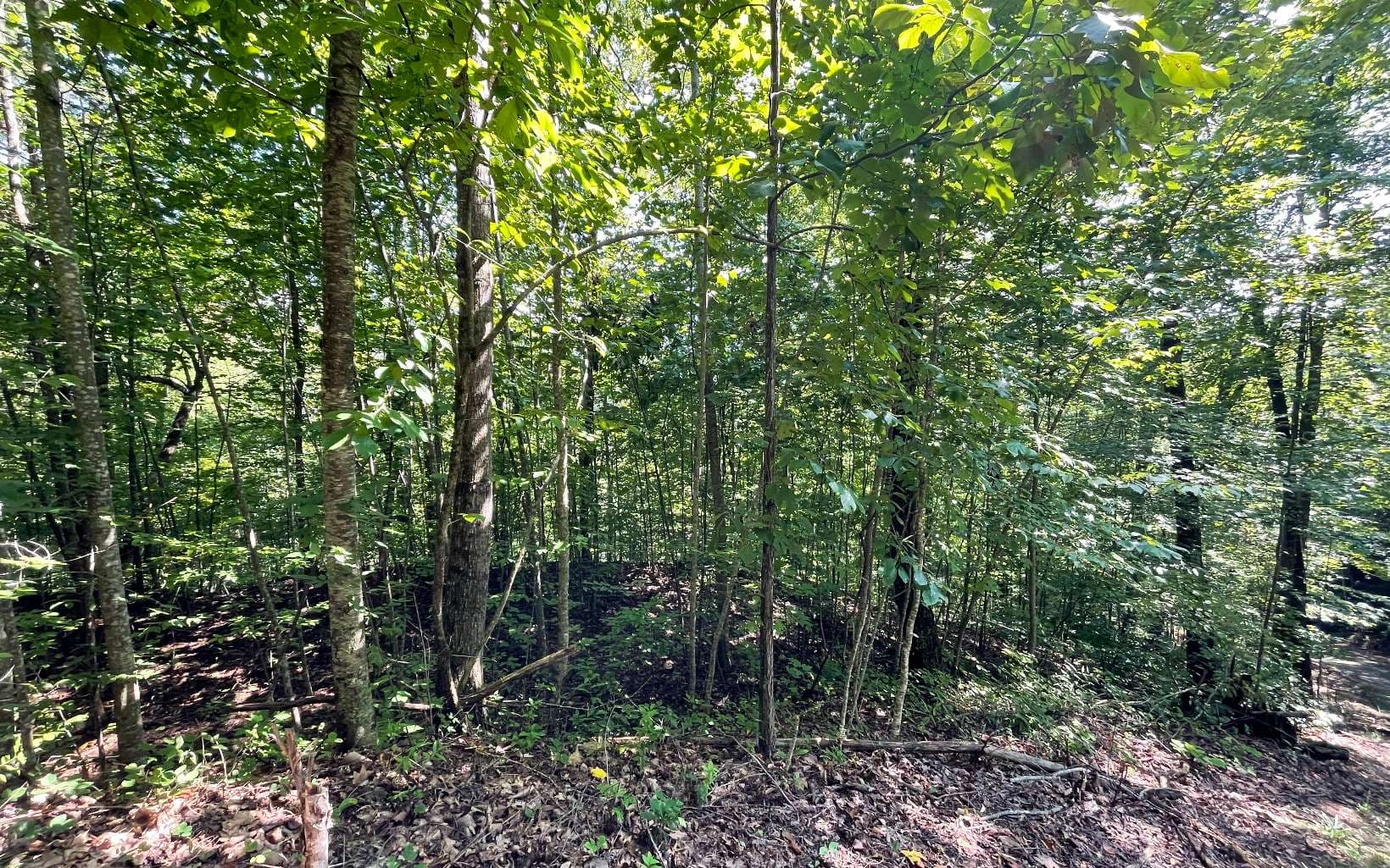 Lot 8D Eagle Heights, Hiawassee GA 30546 - Photo