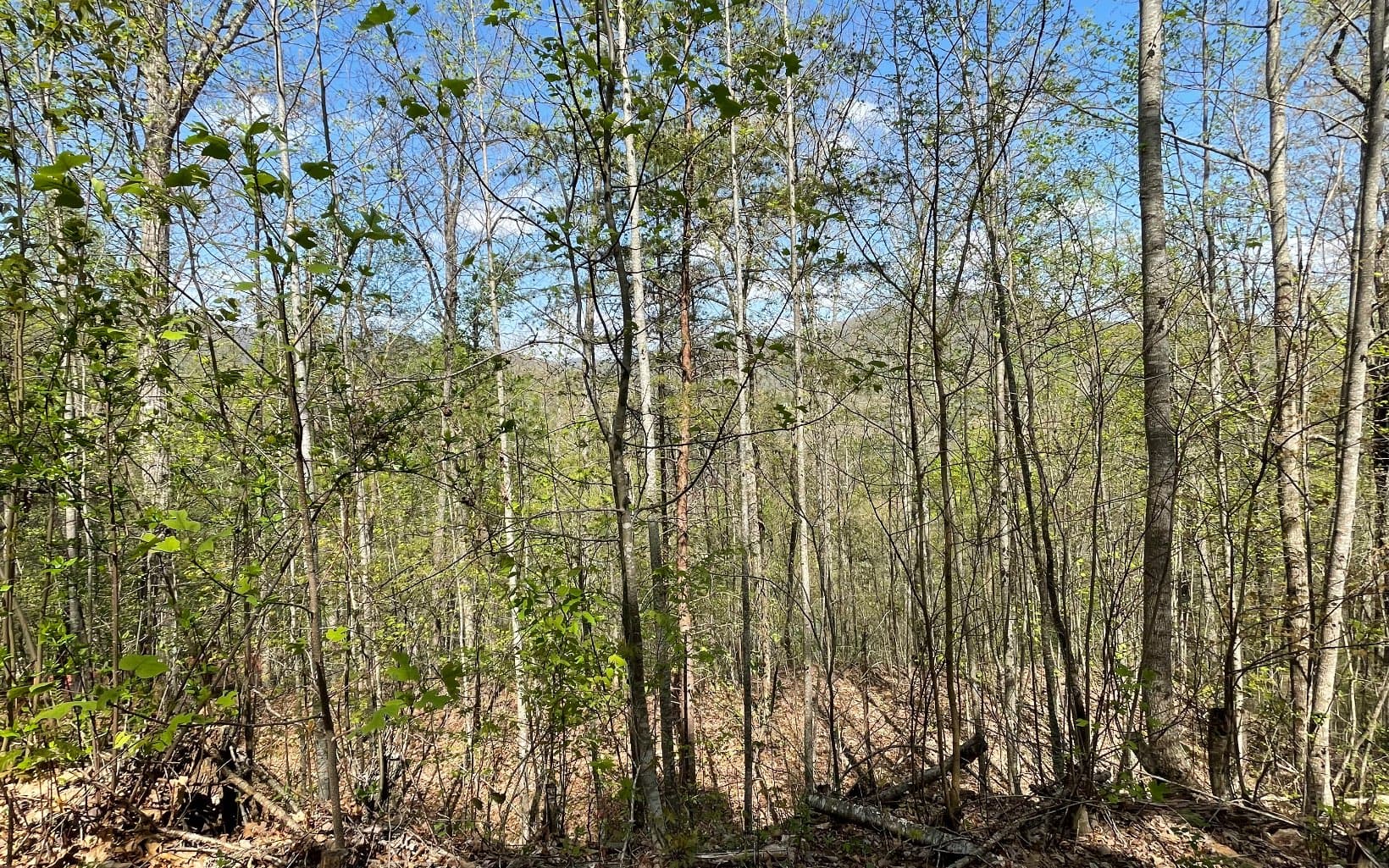 Lot 8D Eagle Heights, Hiawassee GA 30546 - Photo