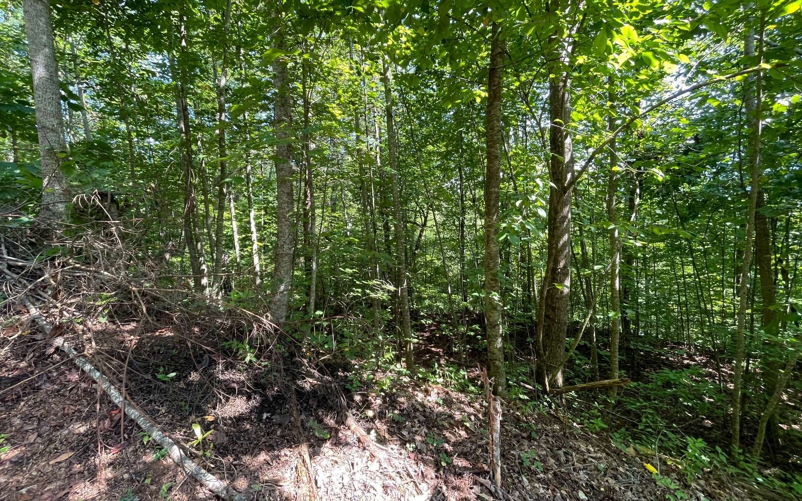 Lot 8D Eagle Heights, Hiawassee GA 30546 - Photo