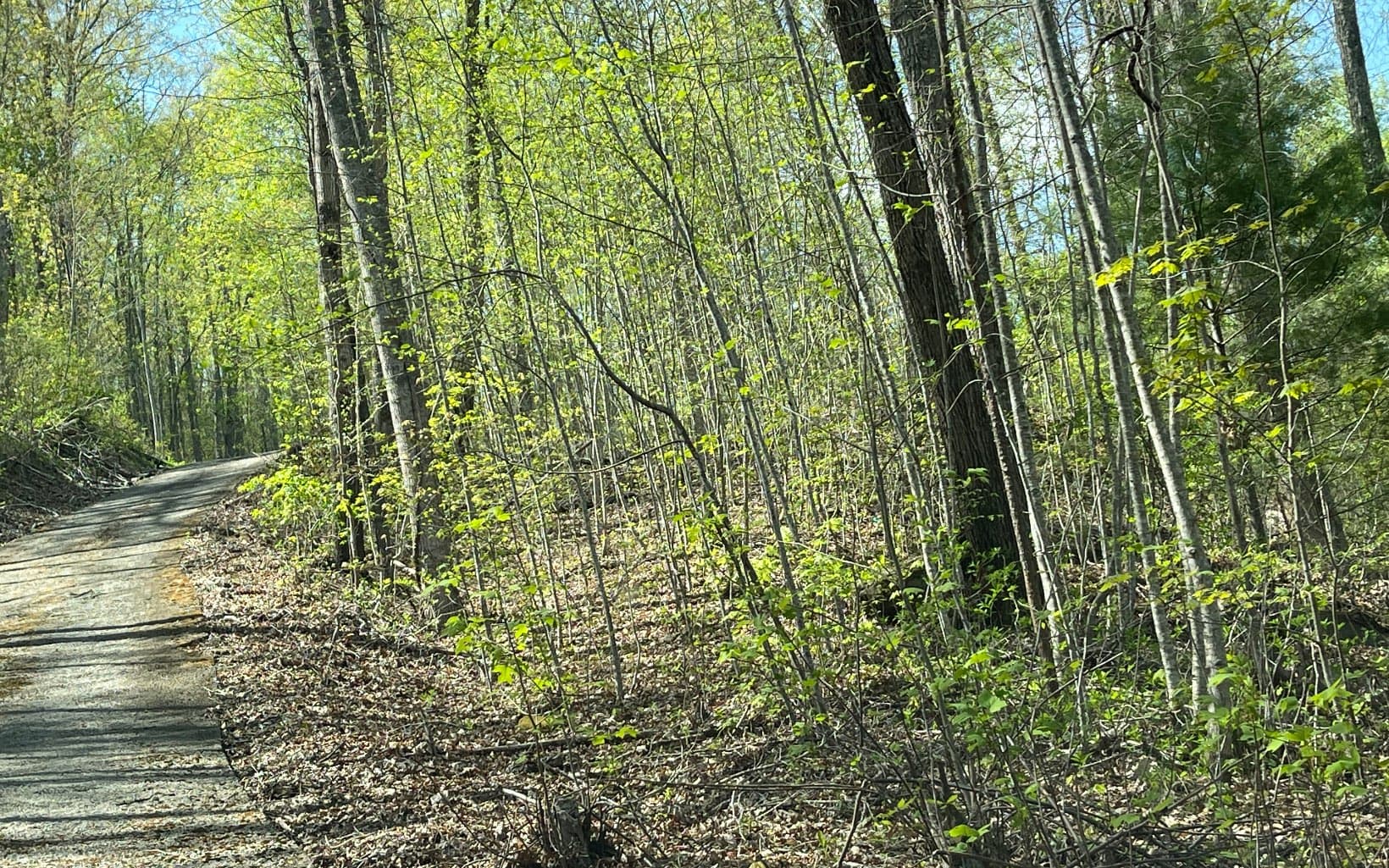 Lot 8D Eagle Heights, Hiawassee GA 30546 - Photo