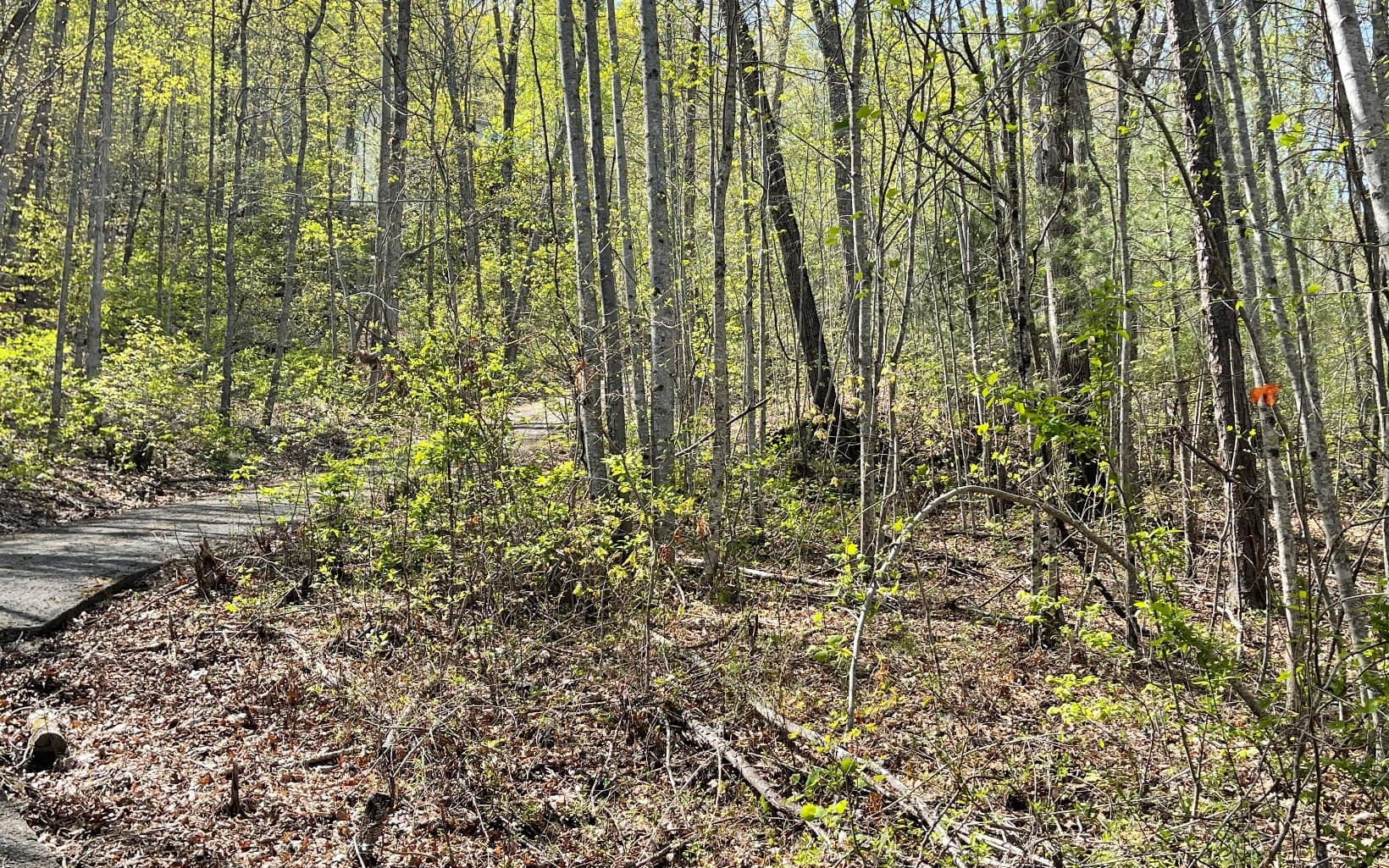 Lot 8D Eagle Heights, Hiawassee GA 30546 - Photo