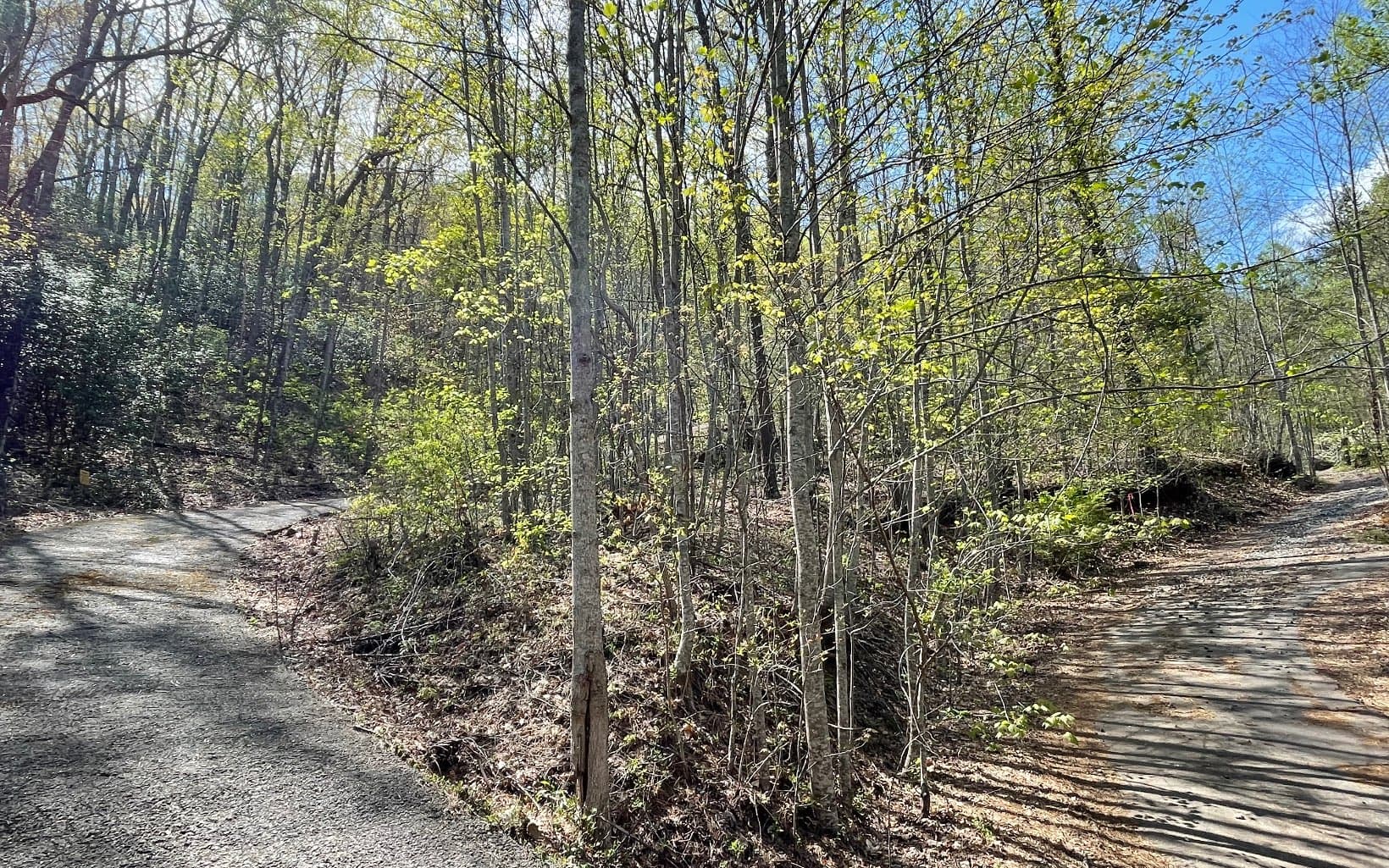 Lot 8D Eagle Heights, Hiawassee GA 30546 - Photo