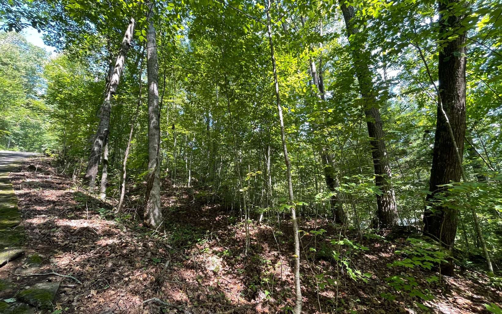 Lot 8D Eagle Heights, Hiawassee GA 30546 - Photo