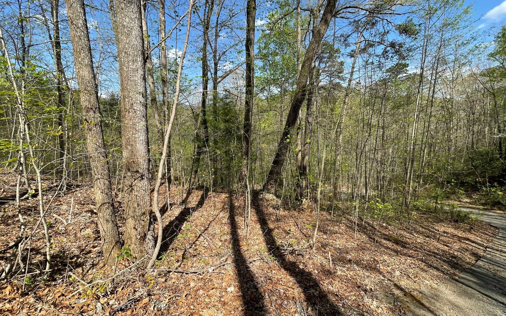 Lot 8D Eagle Heights, Hiawassee GA 30546 - Photo
