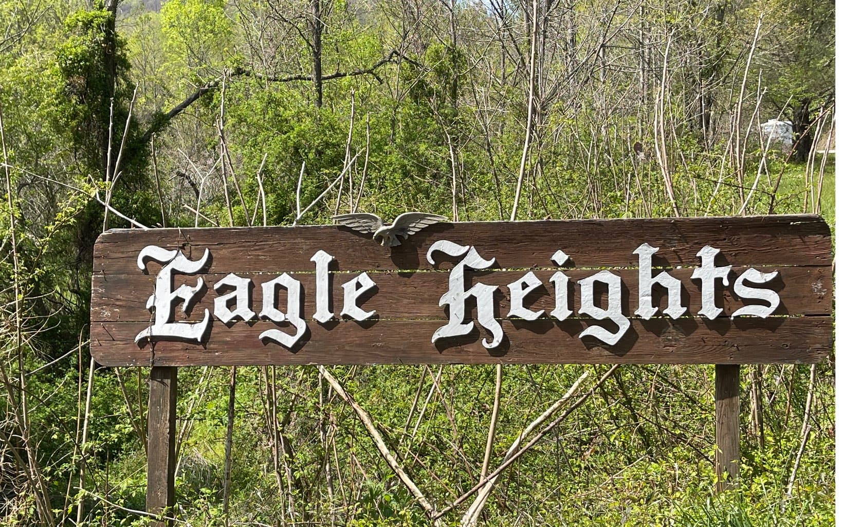 Lot 8D Eagle Heights, Hiawassee GA 30546 - Photo