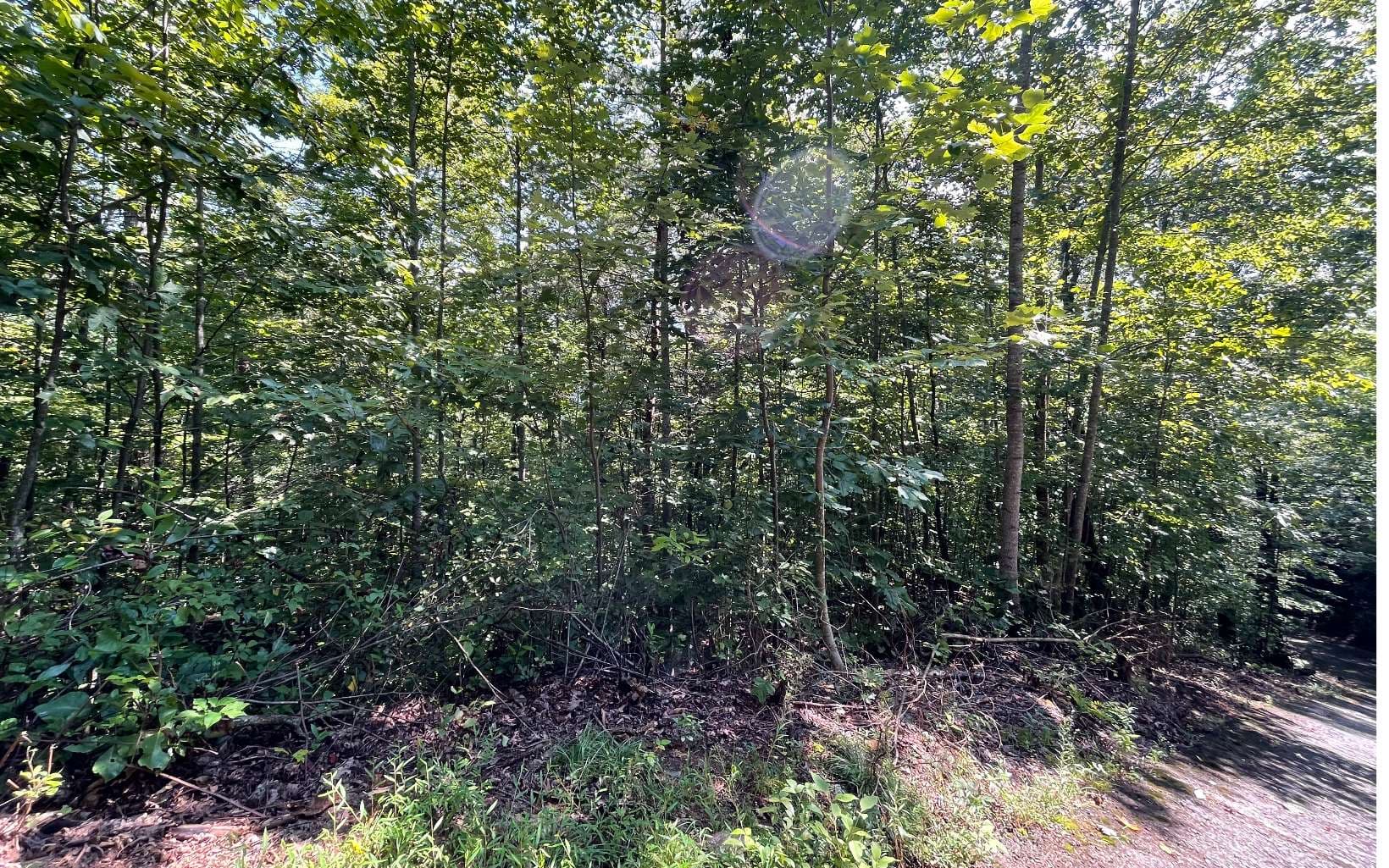 Lot 8D Eagle Heights, Hiawassee GA 30546 - Photo