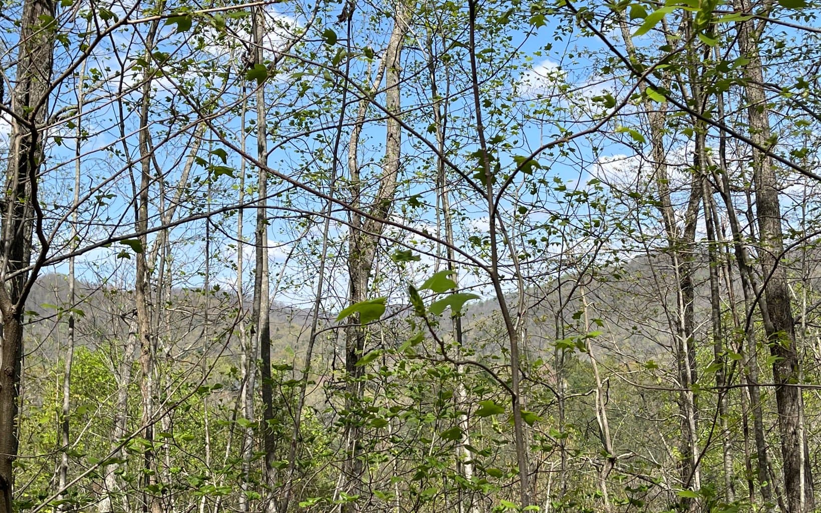 Lot 8D Eagle Heights, Hiawassee GA 30546 - Photo