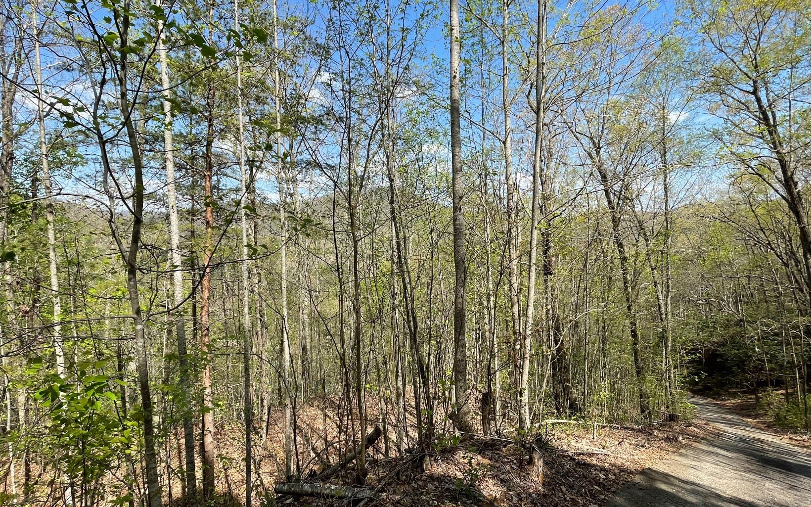 Lot 8D Eagle Heights, Hiawassee GA 30546 - Photo