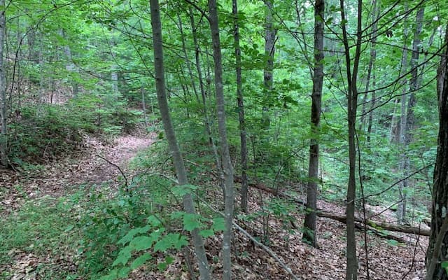 Lot 18 Bruce Mountain, Blairsville GA 30512 - Photo