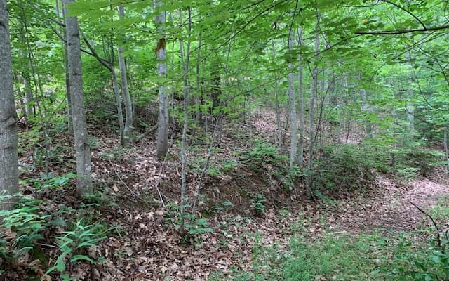 Lot 18 Bruce Mountain, Blairsville GA 30512 - Photo