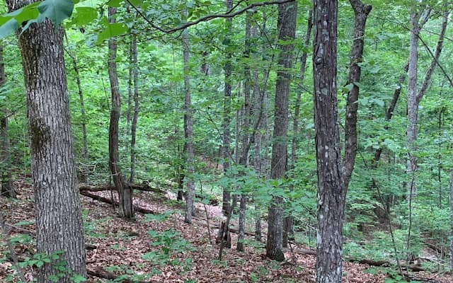 Lot 18 Bruce Mountain, Blairsville GA 30512 - Photo