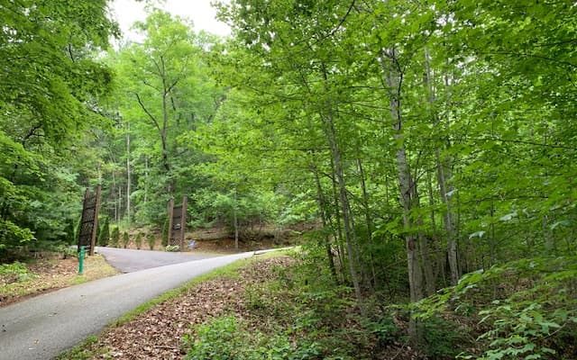 Lot 18 Bruce Mountain, Blairsville GA 30512 - Photo
