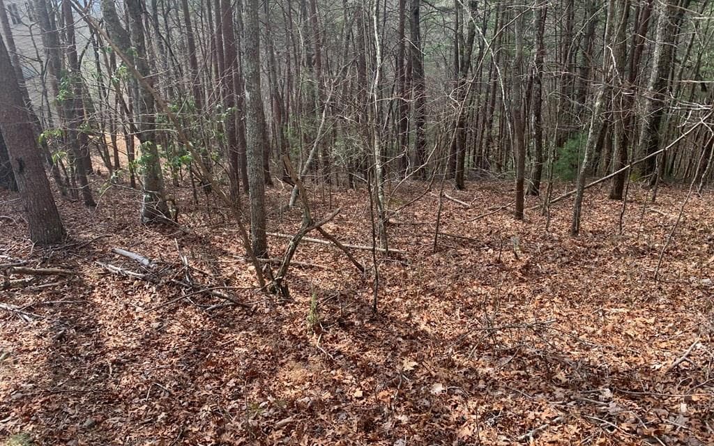 LOT20 Wolf Ridge Lane, Murphy NC 28906 - Photo