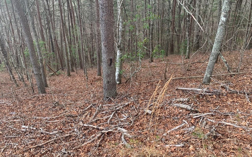 LOT20 Wolf Ridge Lane, Murphy NC 28906 - Photo