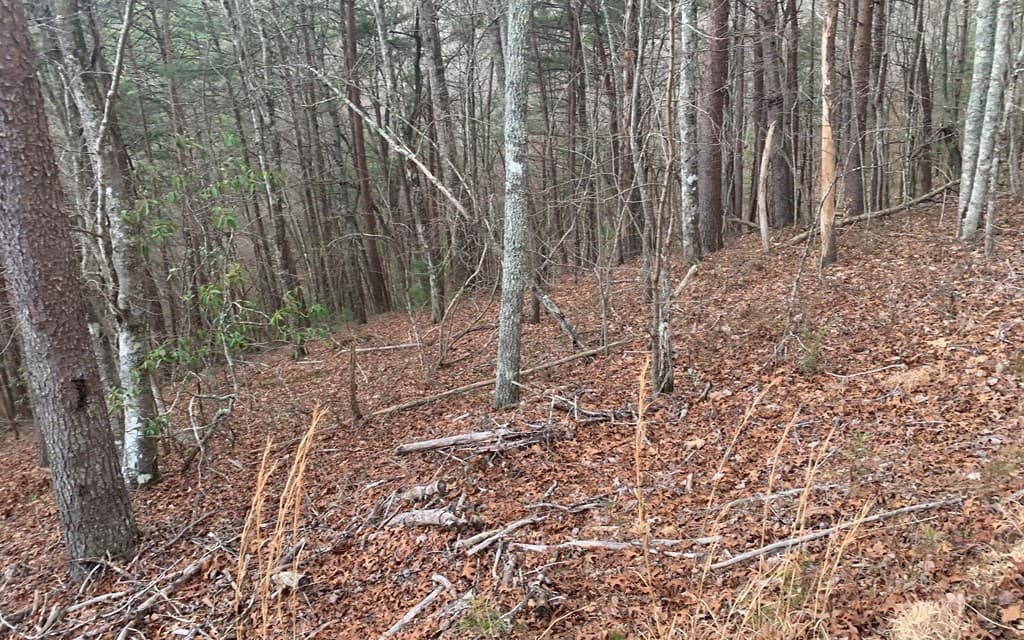 LOT20 Wolf Ridge Lane, Murphy NC 28906 - Photo