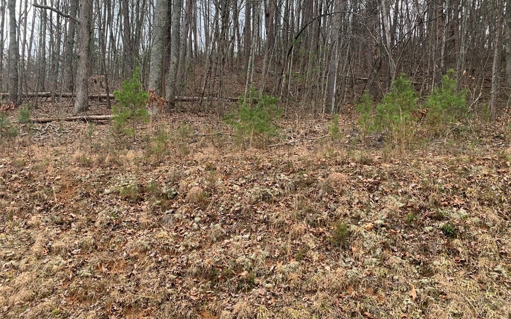 LOT20 Wolf Ridge Lane, Murphy NC 28906 - Photo