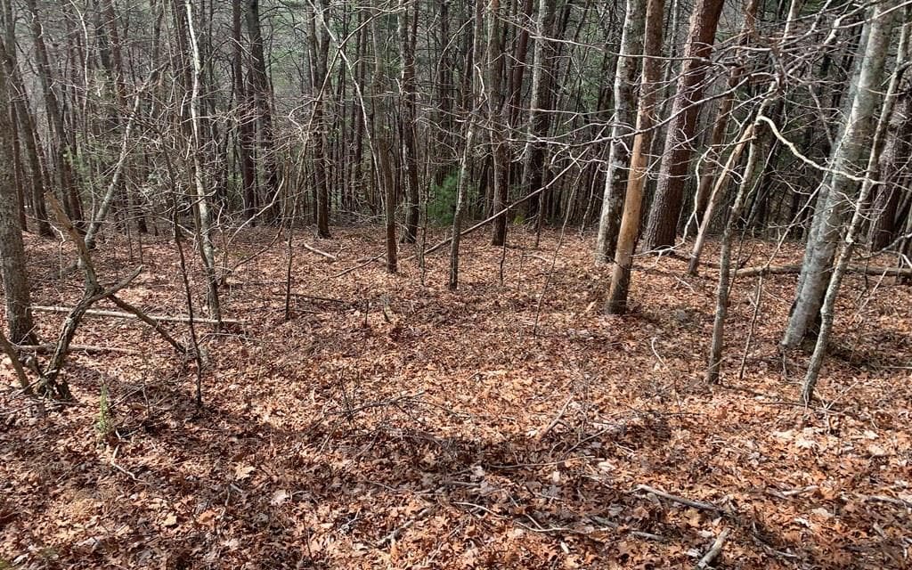 LOT20 Wolf Ridge Lane, Murphy NC 28906 - Primary photo
