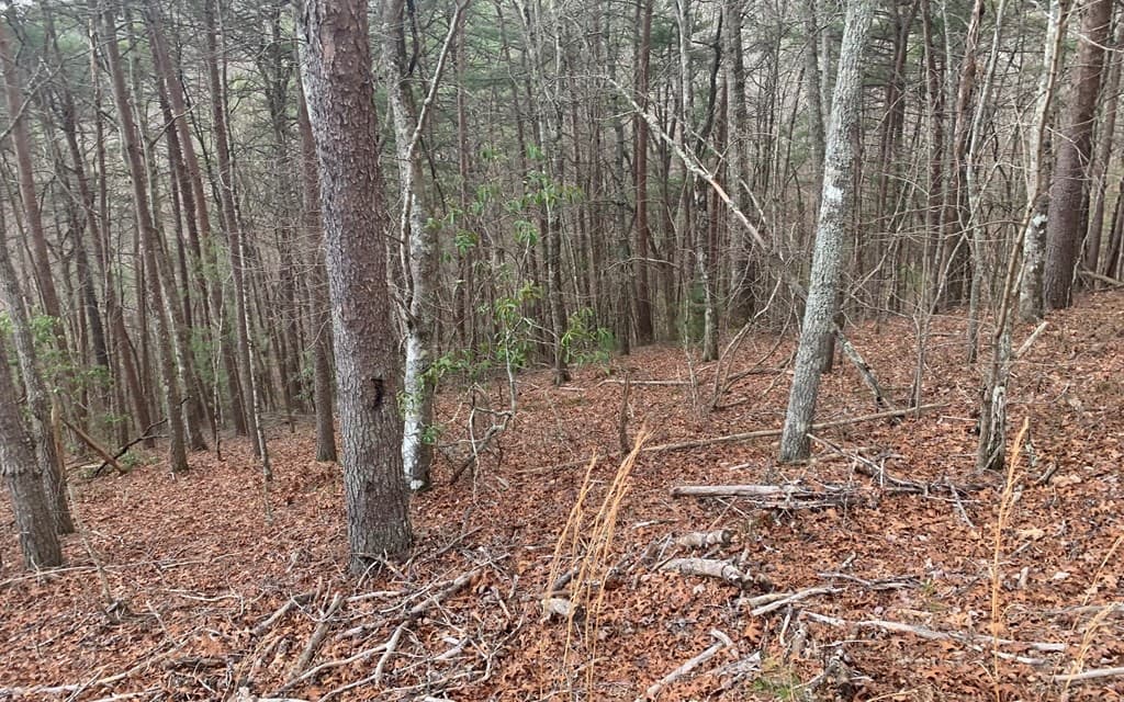 LOT20 Wolf Ridge Lane, Murphy NC 28906 - Photo