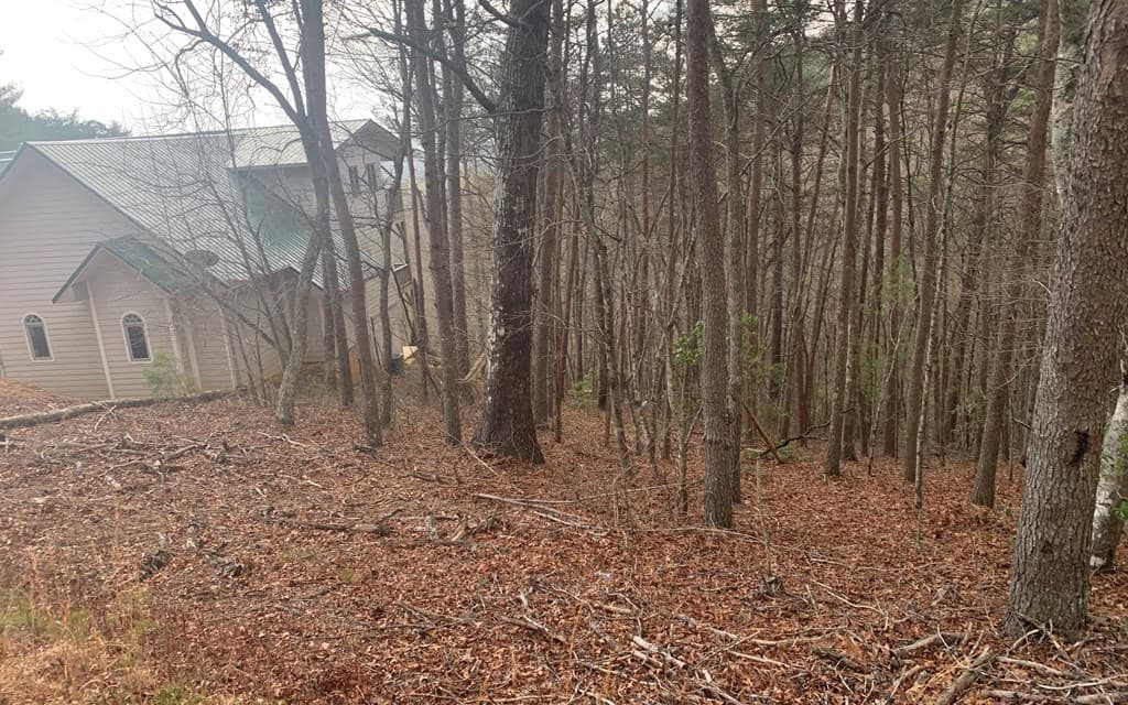 LOT20 Wolf Ridge Lane, Murphy NC 28906 - Photo