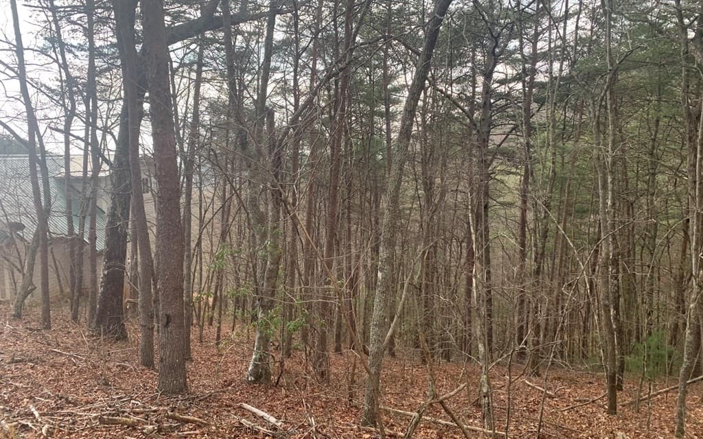 LOT20 Wolf Ridge Lane, Murphy NC 28906 - Photo