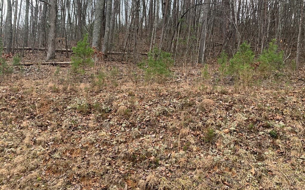 LOT20 Wolf Ridge Lane, Murphy NC 28906 - Photo