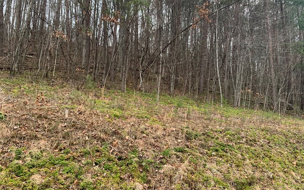 LOT20 Wolf Ridge Lane, Murphy NC 28906 - Photo