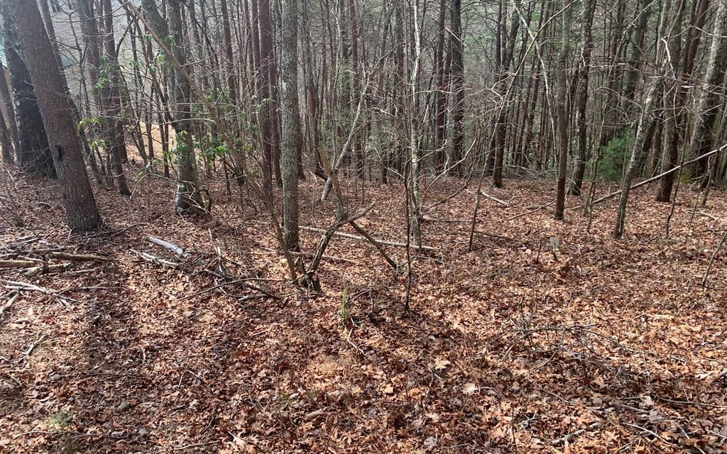 LOT20 Wolf Ridge Lane, Murphy NC 28906 - Photo