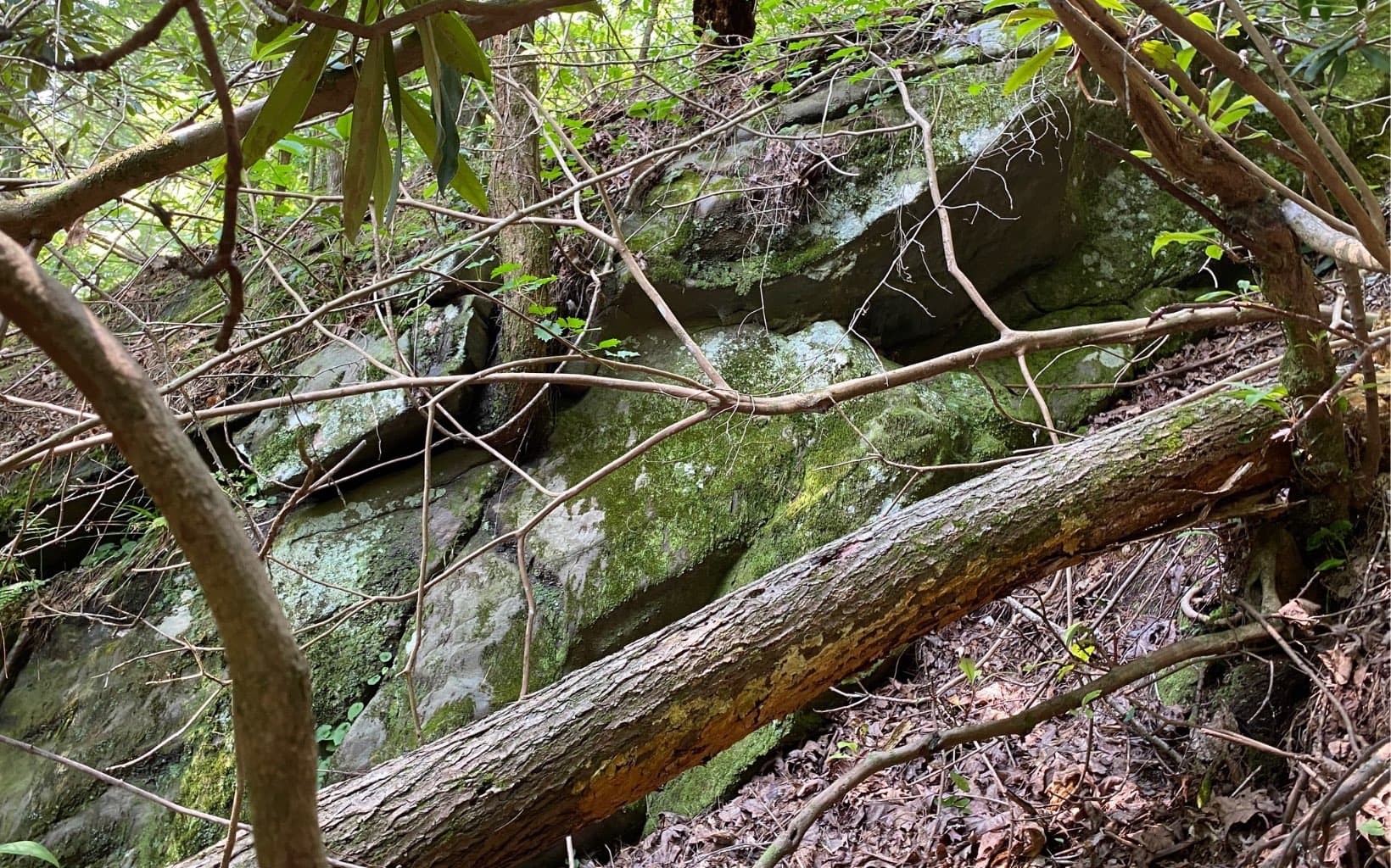 Lot 645 Wedowee Ct (Lot 645), Ellijay GA 30540 - Photo