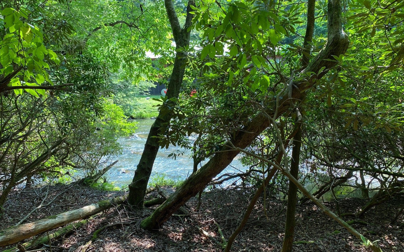 Lot 645 Wedowee Ct (Lot 645), Ellijay GA 30540 - Photo