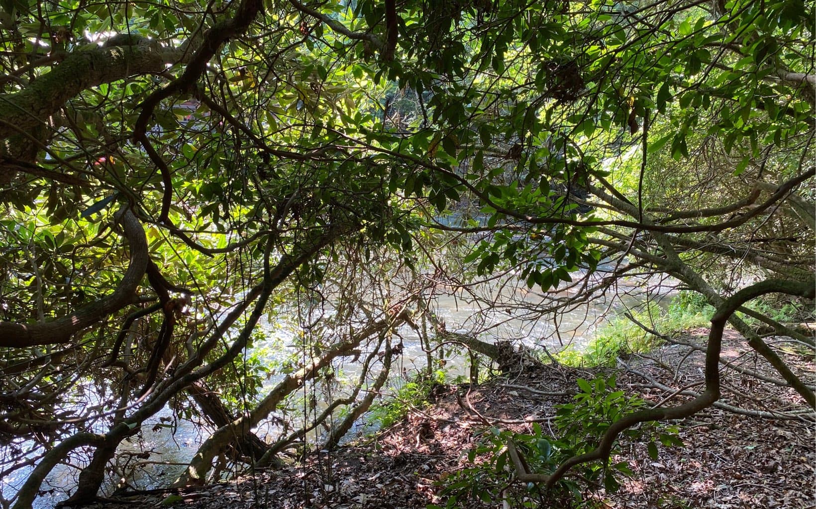 Lot 645 Wedowee Ct (Lot 645), Ellijay GA 30540 - Photo