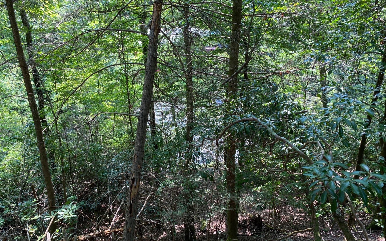 Lot 645 Wedowee Ct (Lot 645), Ellijay GA 30540 - Photo