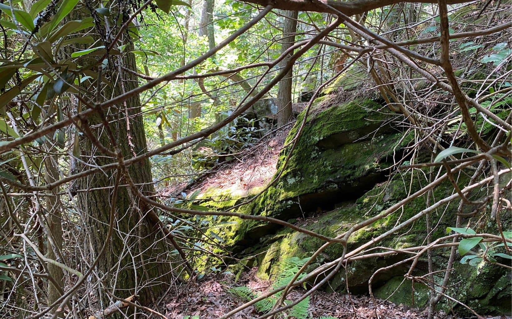 Lot 645 Wedowee Ct (Lot 645), Ellijay GA 30540 - Photo