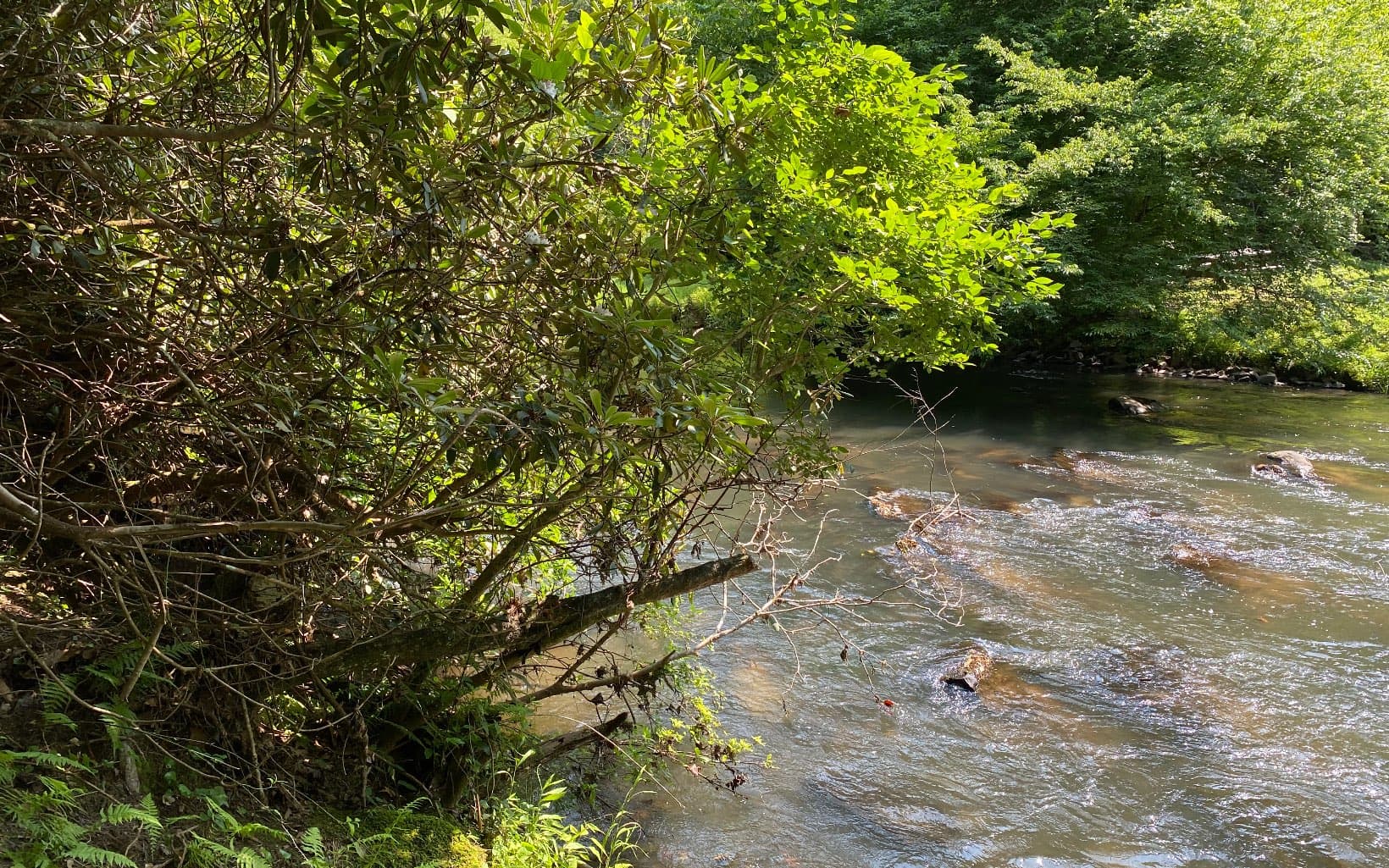 Lot 645 Wedowee Ct (Lot 645), Ellijay GA 30540 - Photo