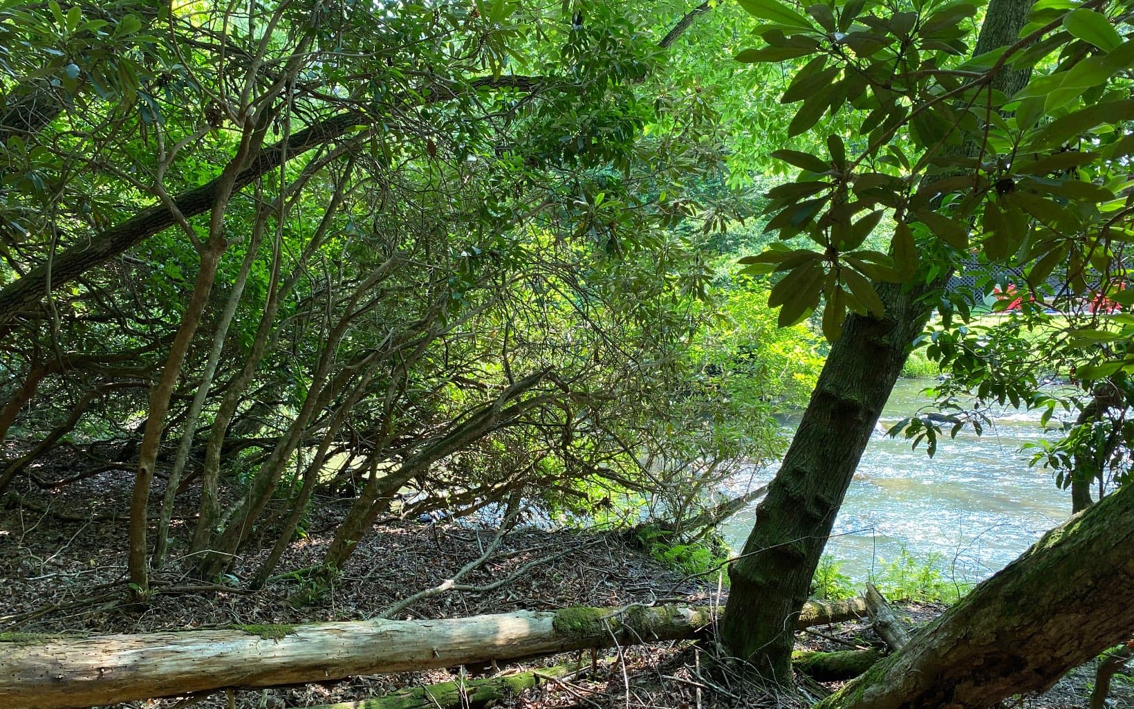 Lot 645 Wedowee Ct (Lot 645), Ellijay GA 30540 - Photo