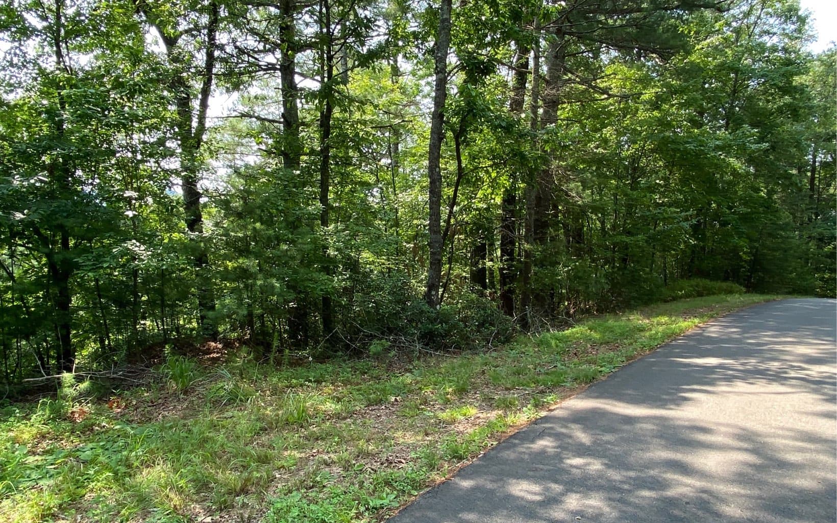 Lot 645 Wedowee Ct (Lot 645), Ellijay GA 30540 - Photo