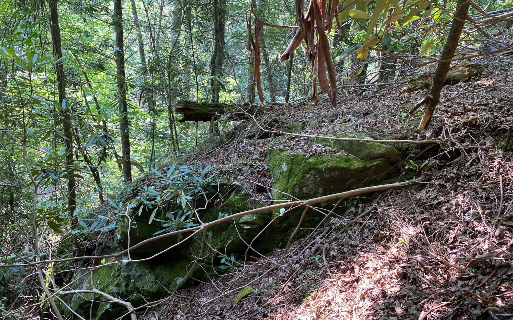Lot 645 Wedowee Ct (Lot 645), Ellijay GA 30540 - Photo