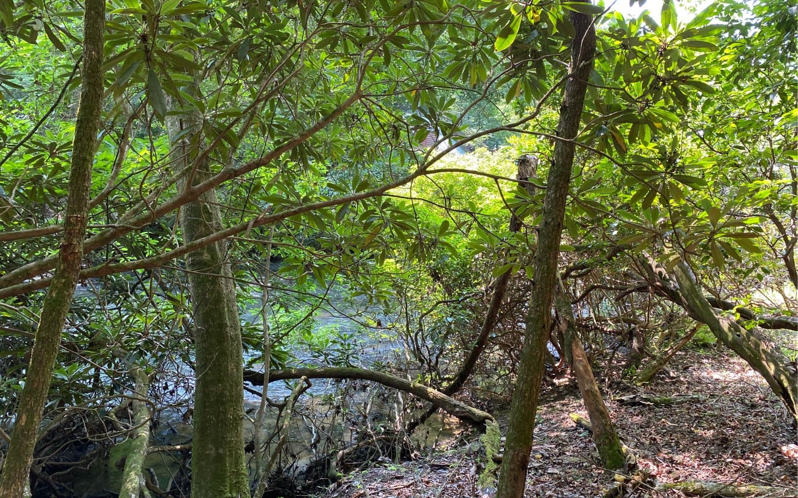 Lot 645 Wedowee Ct (Lot 645), Ellijay GA 30540 - Photo