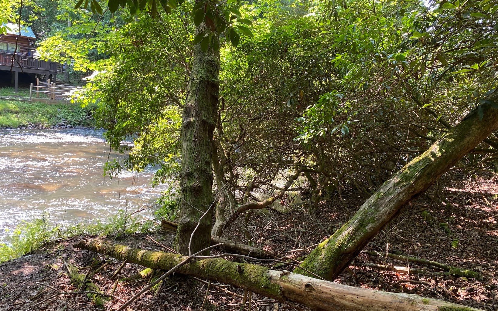 Lot 645 Wedowee Ct (Lot 645), Ellijay GA 30540 - Photo
