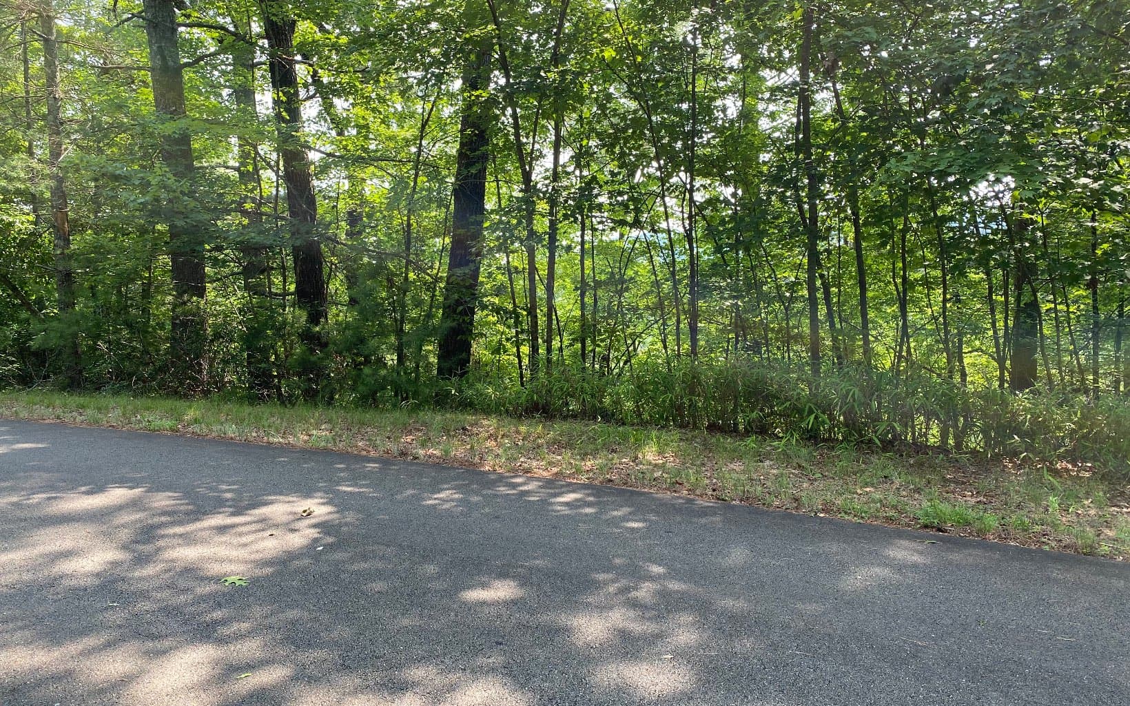 Lot 645 Wedowee Ct (Lot 645), Ellijay GA 30540 - Photo